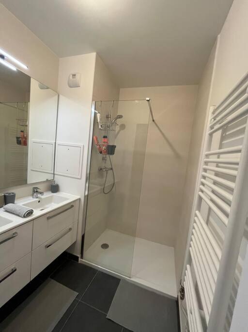 Magnifique Appartement Sur La Seine 阿尔福维尔 外观 照片